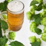 Hops