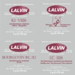 Lavlin Wine Yeast