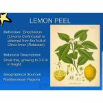 Dried Lemon Peel
