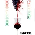 Chilean Fresh Festa Juice Red Wine