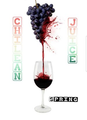 Chilean Fresh Festa Juice Red Wine