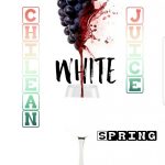 Chilean Fresh Festa Juice White Wine