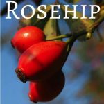 Rose Hips