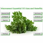 Wormwood