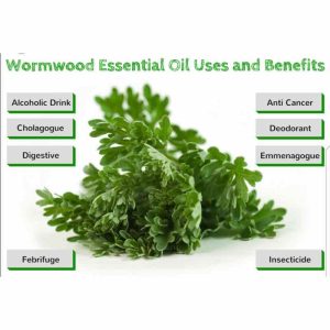 Wormwood