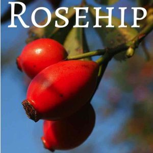 Rose hips