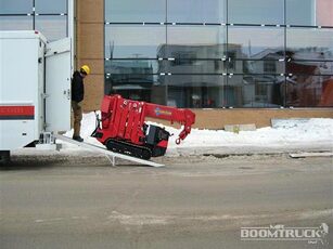 boomtruck Small Crane Service