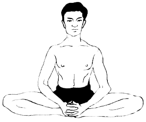 Bhadrasana