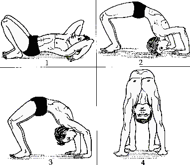 Chakrasana