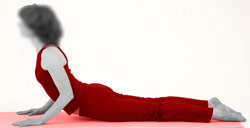 Bhujangasana