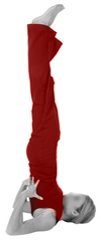 Sarvangasana